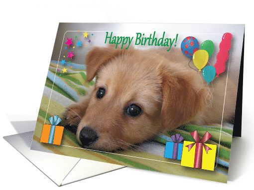 Birthdays To Pet Sitter Puppy Balloons card (812503)