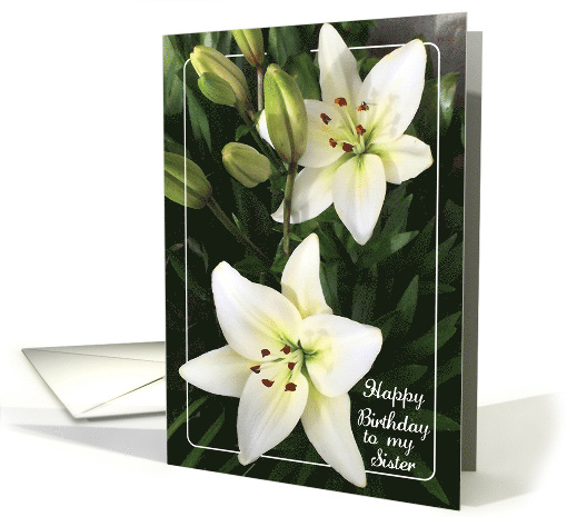 Birthday To Estranged Sister, White Lilies card (814459)