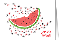 Invitations / 4th of July, watermelon, ants card
