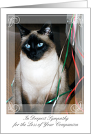 Pet Sympathy / Loss of Cat card