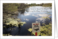 Congratulations / Graduation, swamp, alligator sign card
