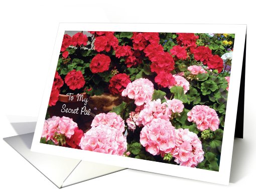 Holidays / International Secret Pal Day card (828425)