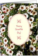 Holidays / International Secret Pal Day card