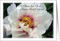 Invitations / To Garden Bridal Shower, white peony card