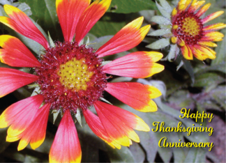 Anniversary / Thanksgiving, flowers