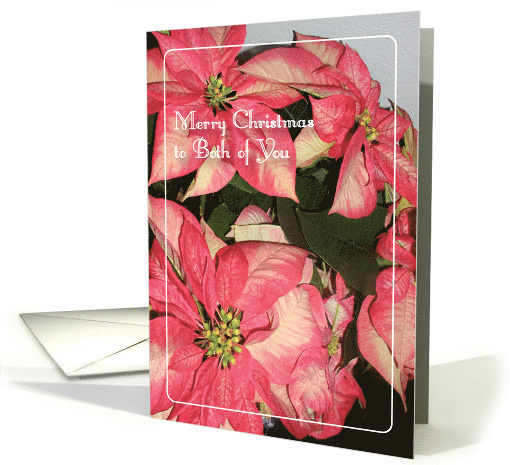 Christmas To Both of You, Couple, Pink Poinsettia card (837240)