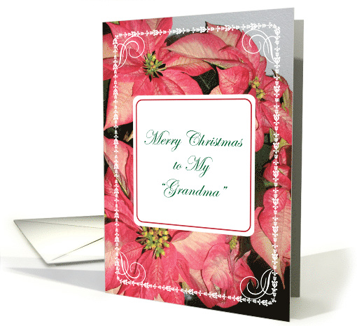 Christmas Like a Grandma, Poinsettias card (838737)