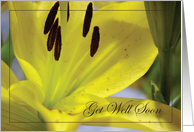 Get Well / Splenectomy Surgery card