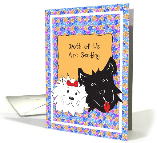 Get Well From Both of Us, Cute Black & White Dogs card (848378)