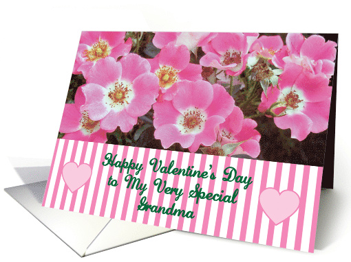 Valentine To Special Grandma Wild Roses card (854261)