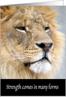 Encouragement / Looking for a Job, Lion card