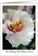 Sympathy / Loss of Congregation Member, white peony card