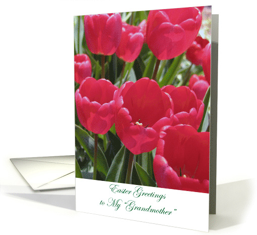 Easter Like a Grandmother To Me Red Tulips card (862639)