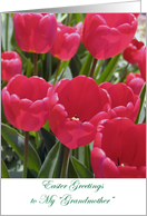 Easter Like a Grandmother To Me Red Tulips card
