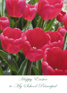 Easter For School Principal Red Tulips