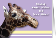 Easter / Giraffe, juicy kisses card