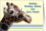 Birthday / Giraffe, juicy kisses card