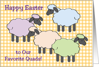 Easter / To Quads, 4 sheep card