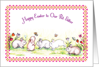 Easter / To Pet Sitter, 5 bunnies card