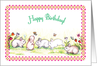 Birthday / Bunnies, rabbits card