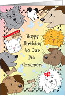 Birthday / to Pet...