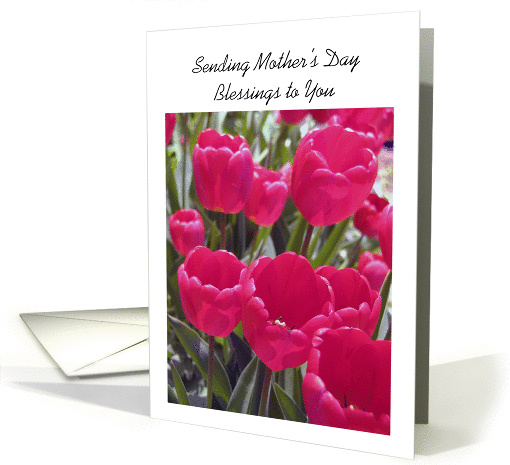 Mother's Day, to Estranged Mother card (880828)