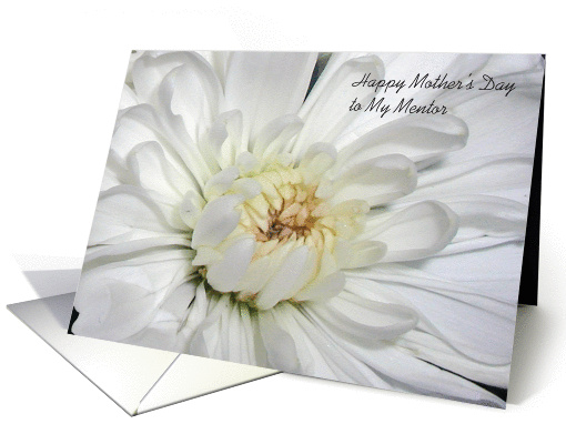 Mother's Day, to Mentor, white mum card (880991)
