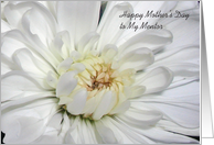 Mother’s Day, to Mentor, white mum card
