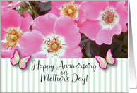 Mother’s Day Anniversary Pink Roses card