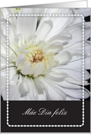 Mother’s Day, in European Portuguese, blank card