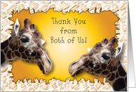 Thank You Cards From Both Of Us From Greeting Card Universe