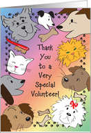 Thank You, to Animal Rescue Volunteer card