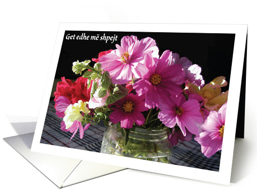 Get Well, in Albanian, blank card (896224)