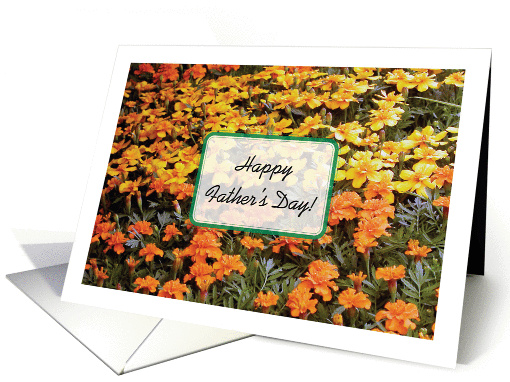 Father's Day, to Gardener, flowers card (900169)