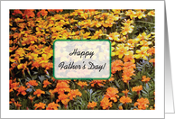 Father’s Day, to Gardener, flowers card