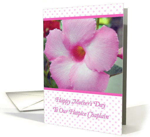 Mother's Day, to Hospice Chaplain, flower card (900222)
