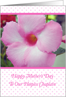 Mother’s Day, to Hospice Chaplain, flower card