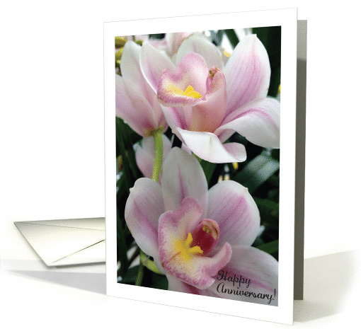 Anniversary for Heart Transplant, Pink Orchids card (903057)