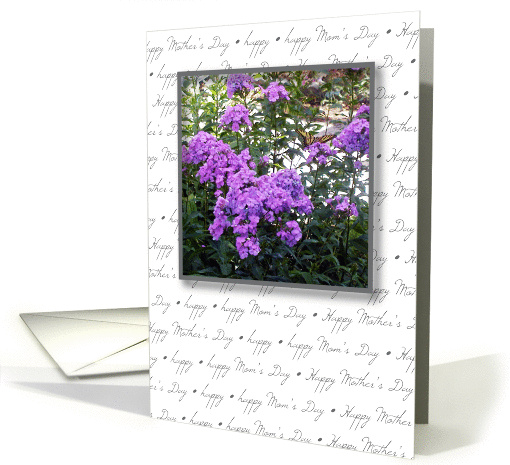 Mother's Day, to Sponsor, phlox card (905522)