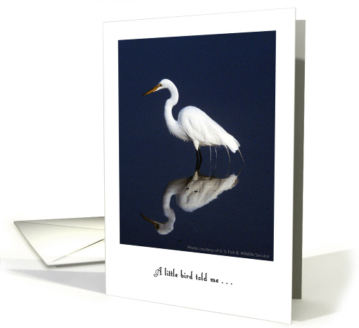 Father's Day, to Sponsor, white egret card (907273)