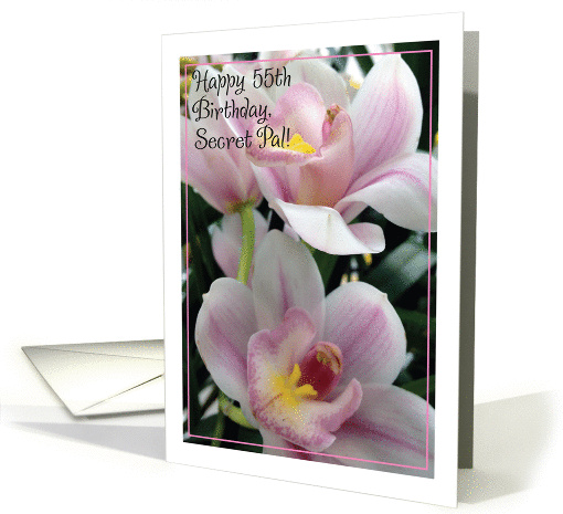 Birthday, Secret Pal, 55 yrs. old card (907753)