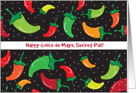 Cinco de Mayo to Secret Pal card