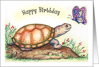 Birthday, Turtle theme, butterfly card