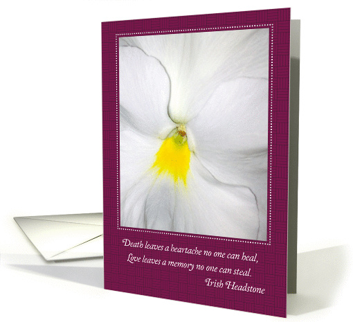 Sympathy, for a Female, white pansy card (914988)