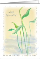 Sympathy, for a Female, water plants card