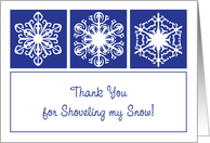 Thank You, For Shoveling Snow card