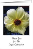 Thank You, for Organ Donation Flower card