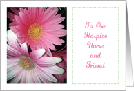 Thank You, Hospice Nurse, daisies card