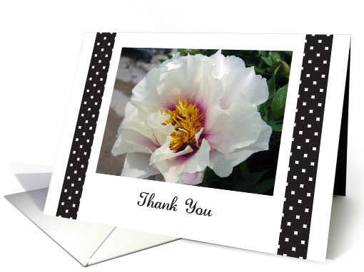 Thank You to Parkinson's Care Giver, Pink and White Flower card