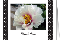 Thank You to Parkinson’s Care Giver, Pink and White Flower card